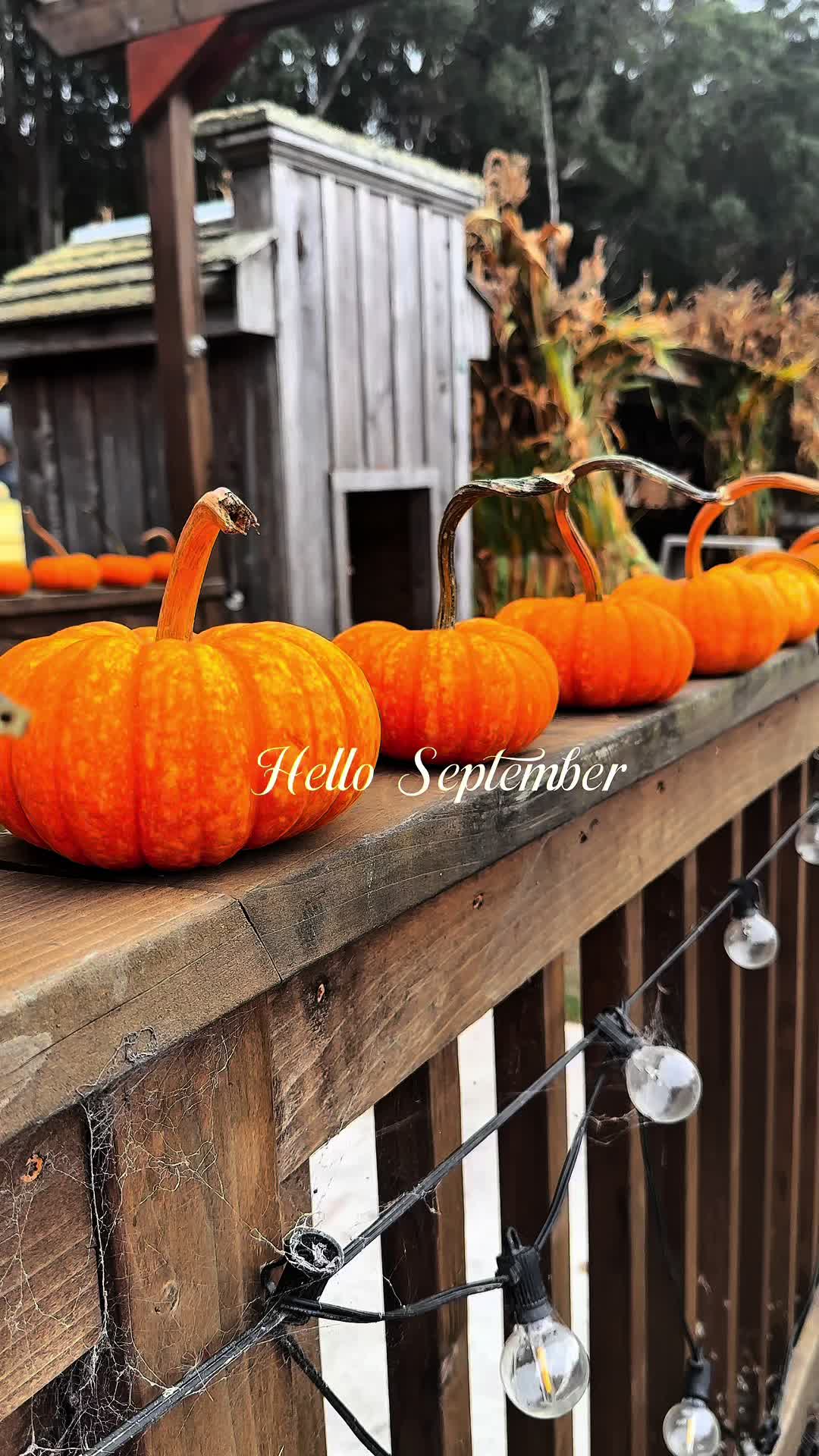 @Emi🎃