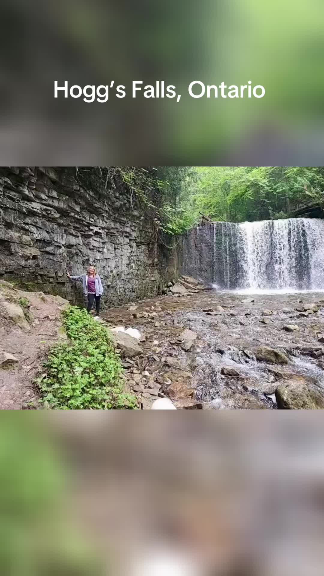 @sweetandsassy🇨🇦❌