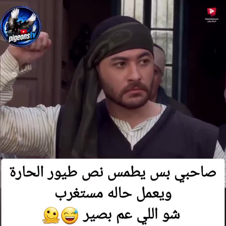 @Pigeons Tv