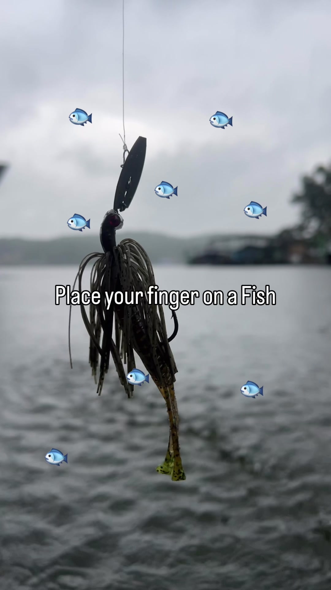 @Motion Fishing
