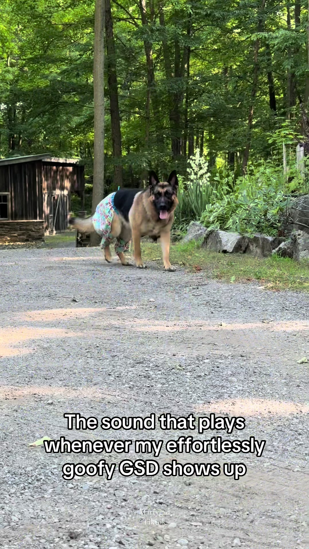 @Martygsd