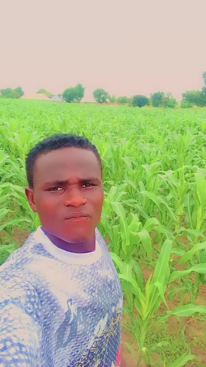@mubarek m abdul