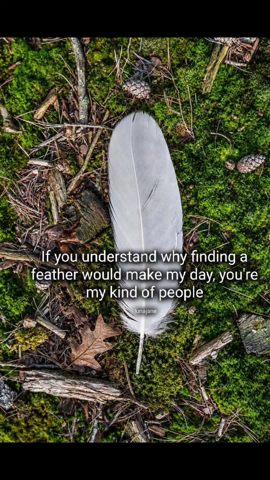@Pri