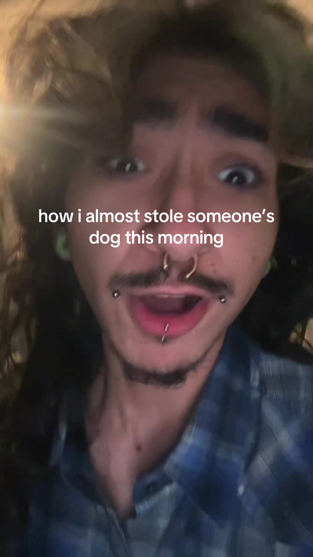 @anselll