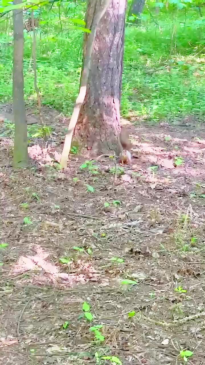 @ArtWorkout