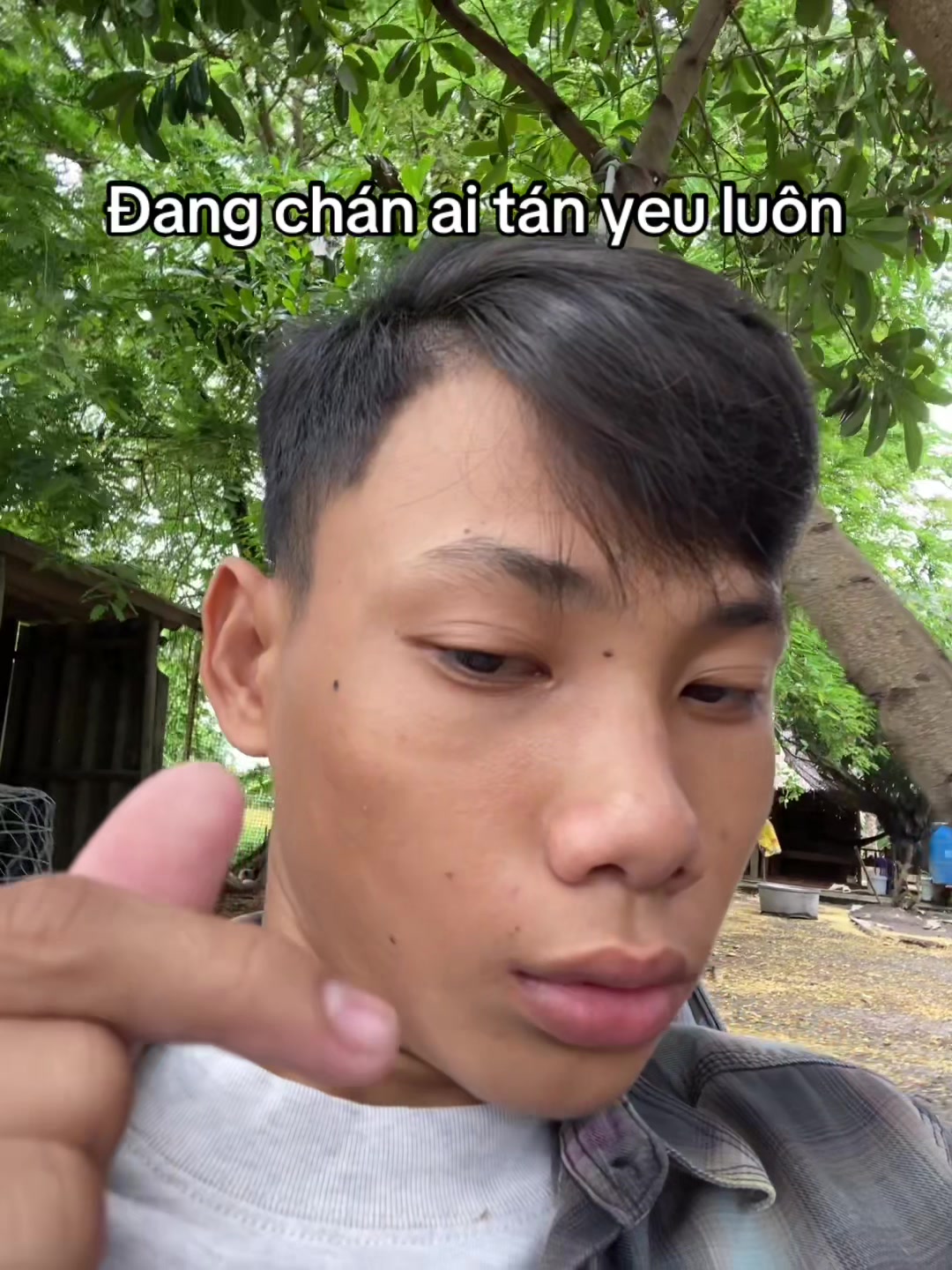 @banddz7