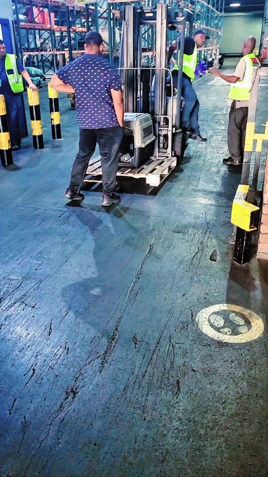 @PITBULL HHH