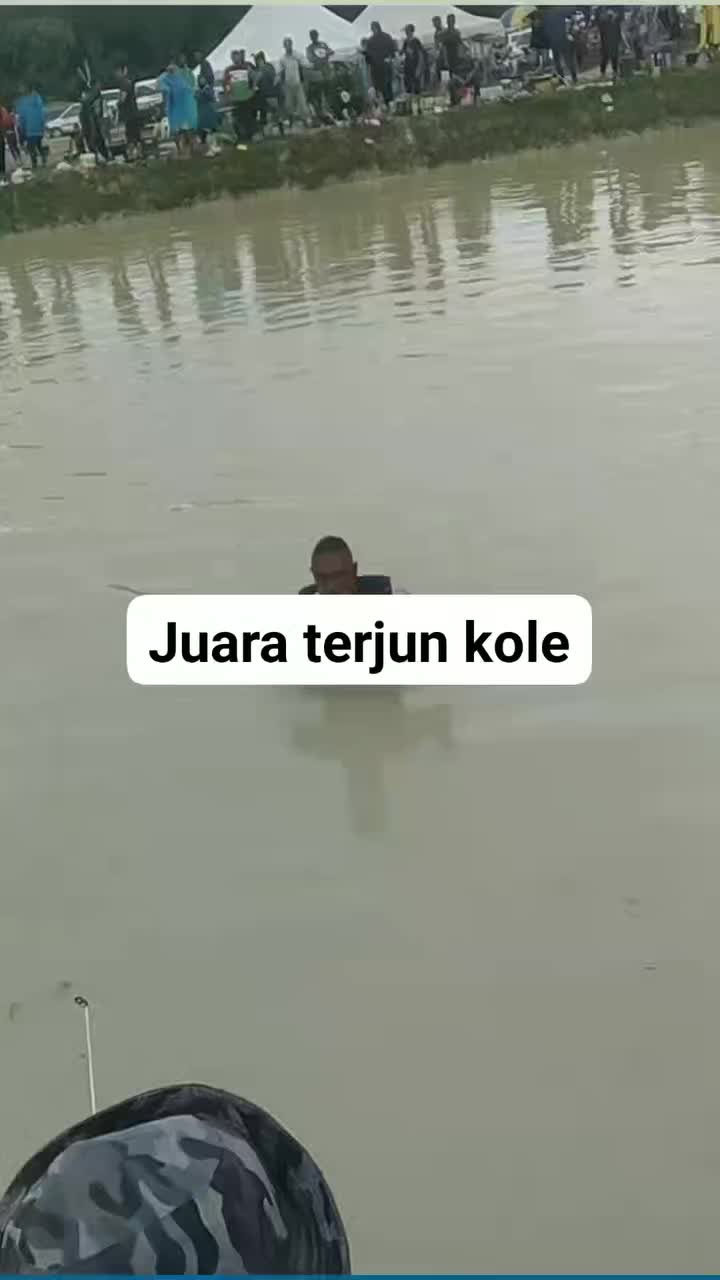 @din.arf