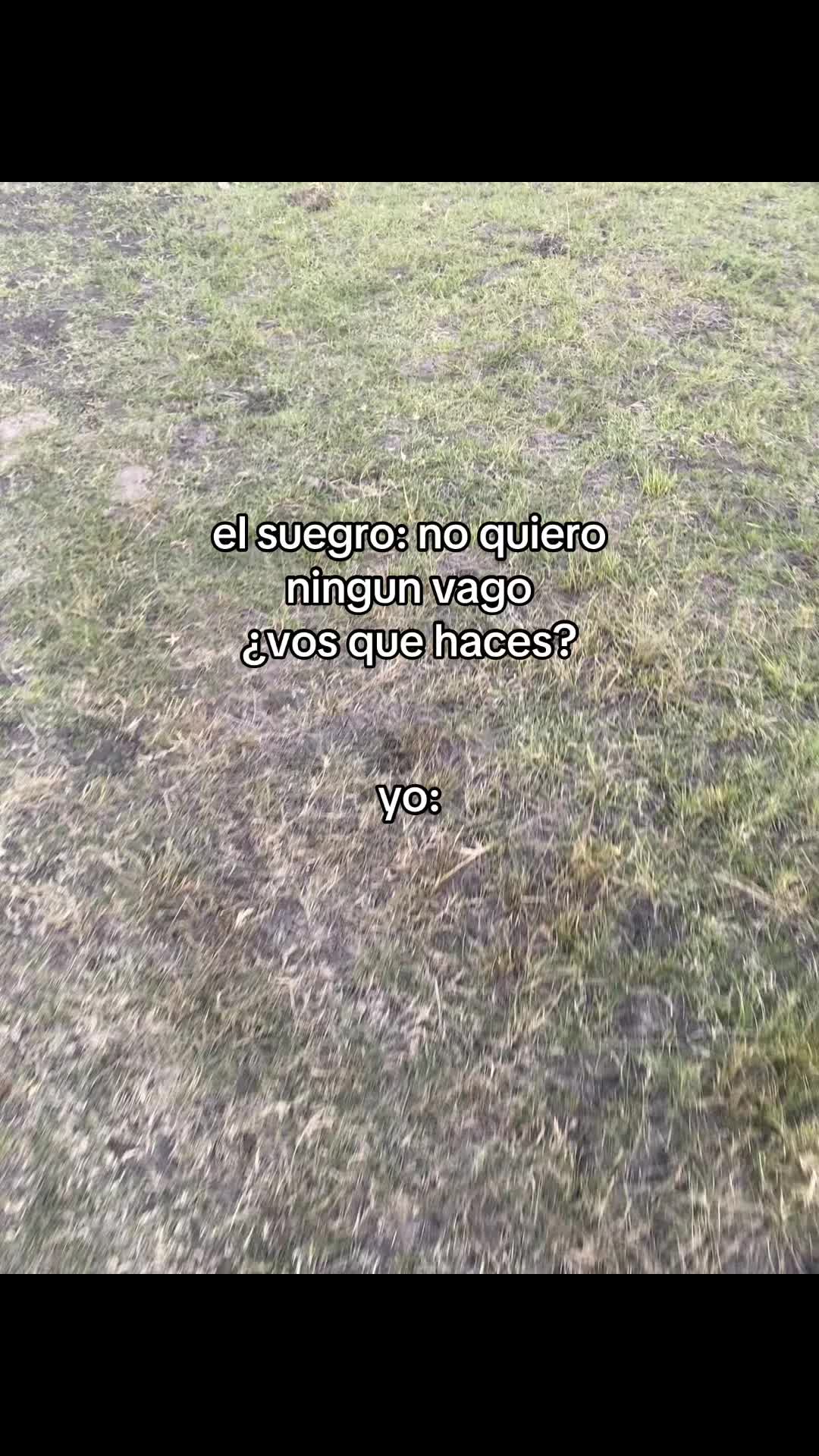 @felipe