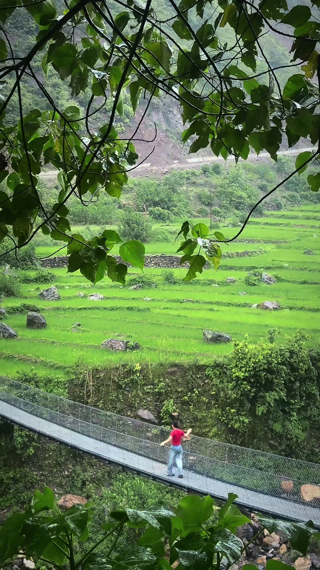 @Dipa shahi 🕊️
