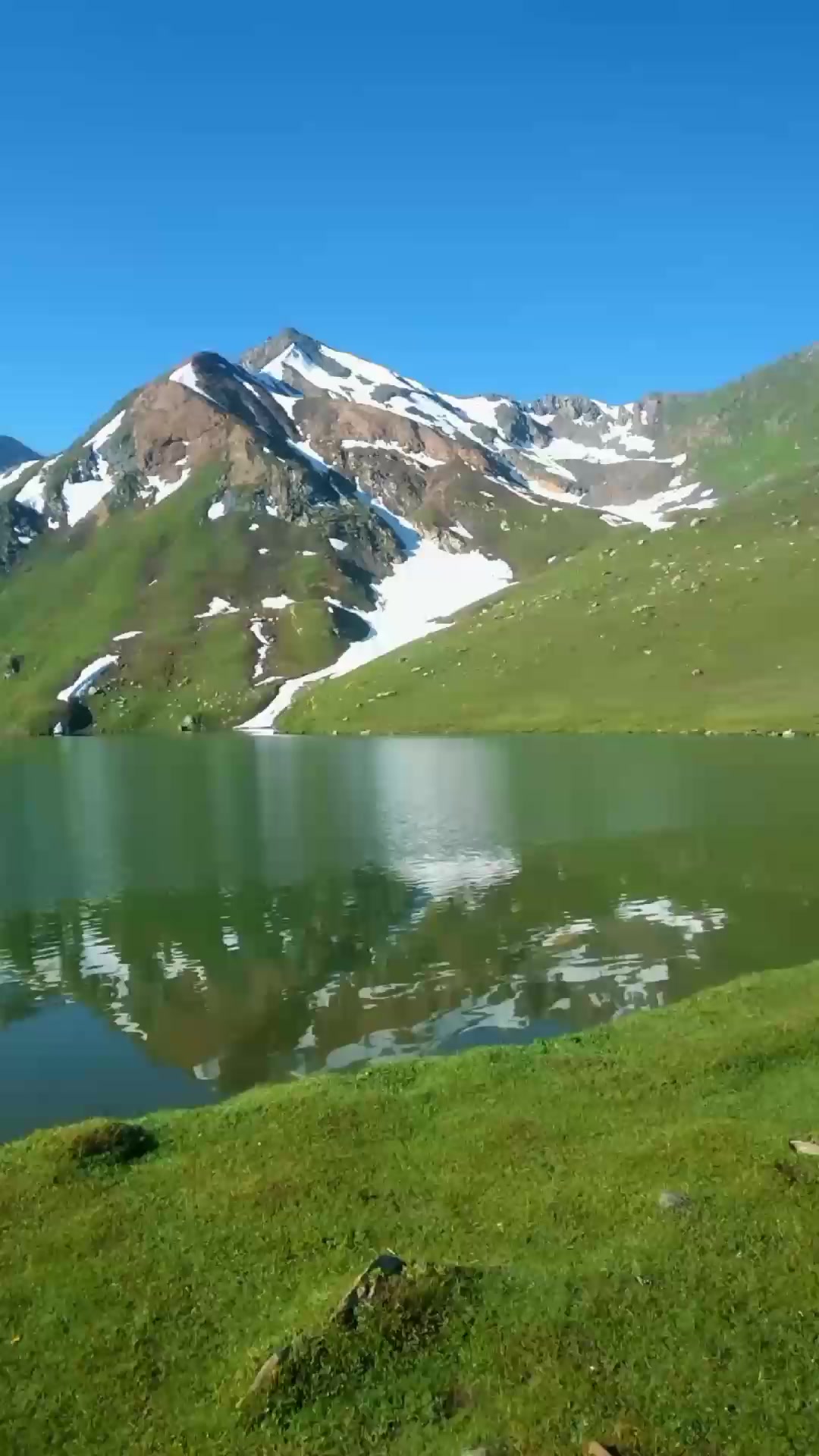 @The Mountain bird