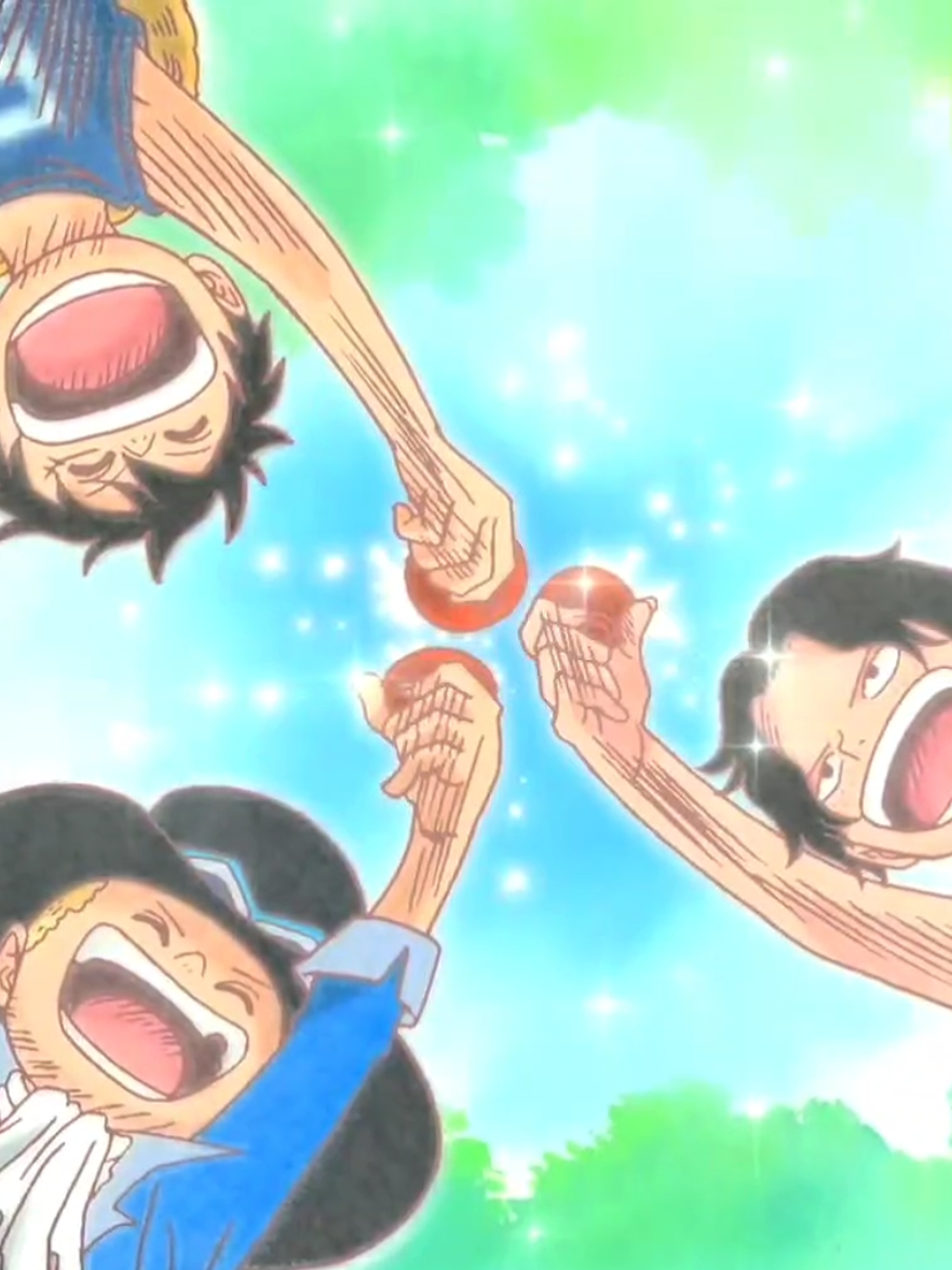 @One Piece ☠️