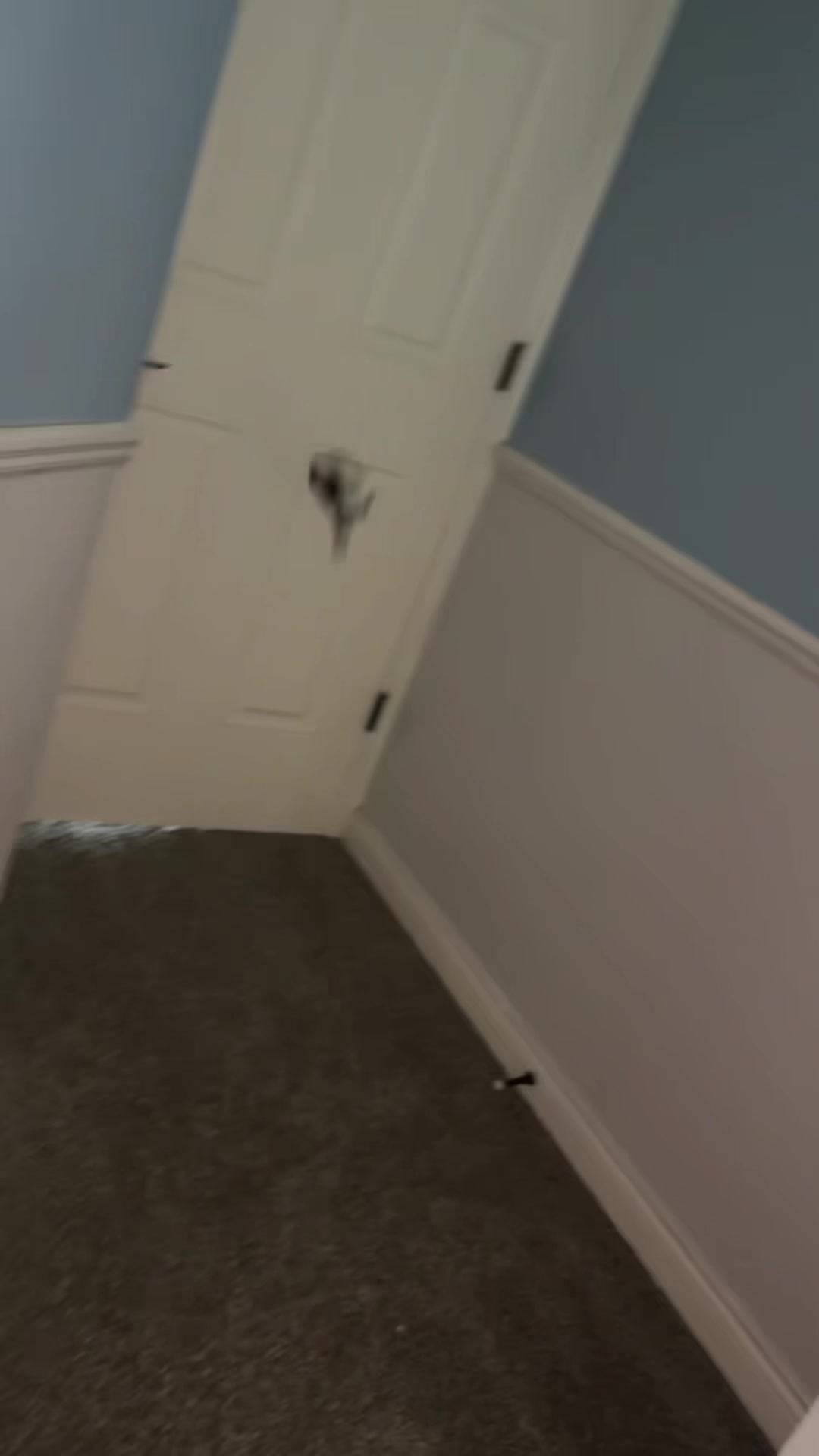 @Mini Michael