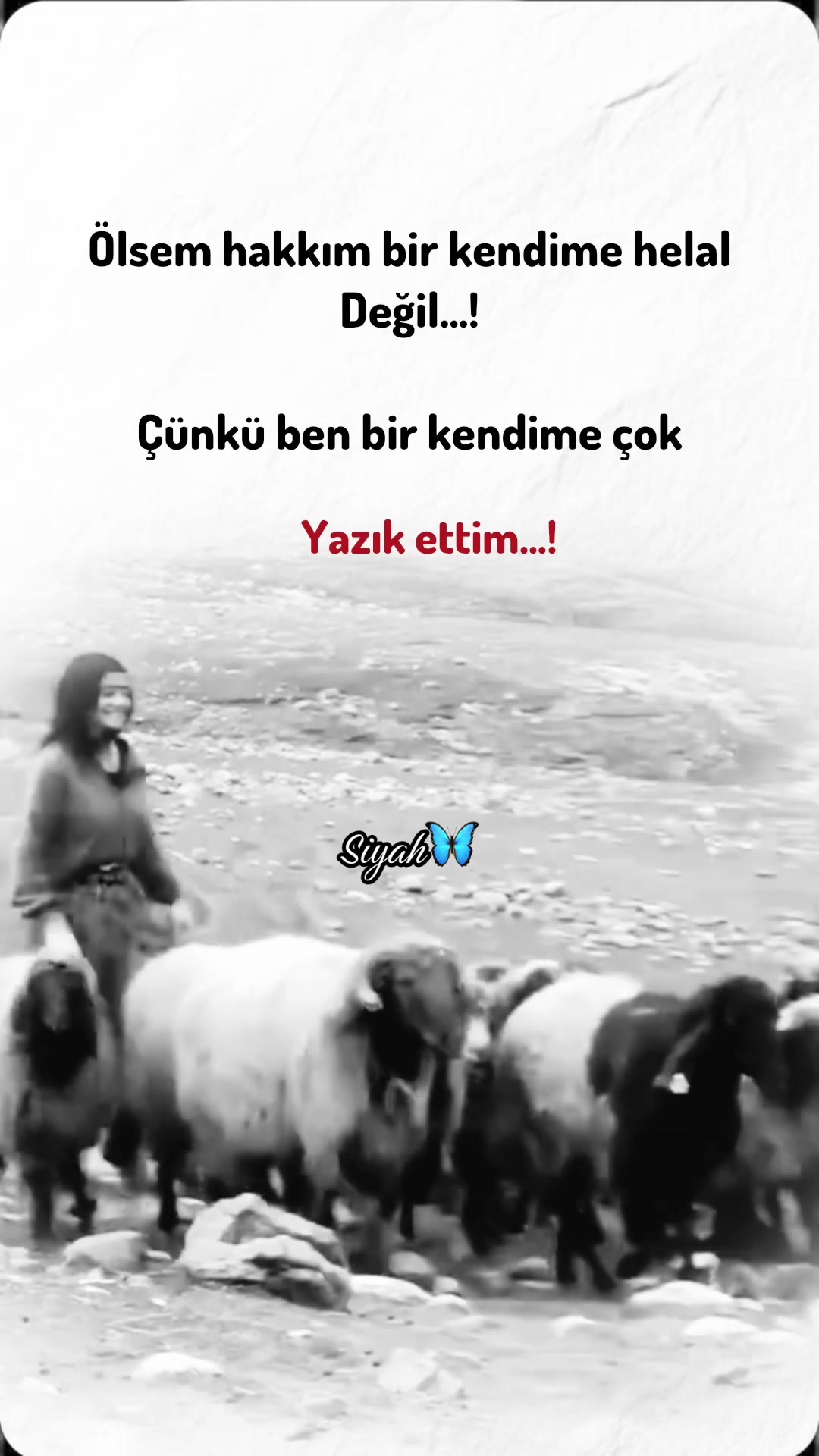 @𝗦𝗶𝘆𝗮𝗵🦋