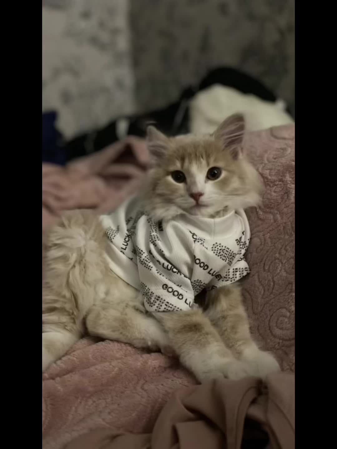 @ленка🤍