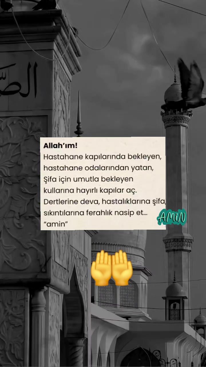 @arzu ergün