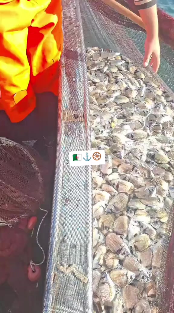 @🛳️hàmìdø⚓⚡Ræysë🐬🏴☠️
