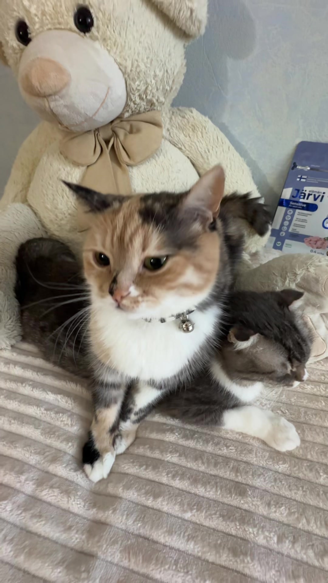 @Chloe 𝜗𝜚 Freya