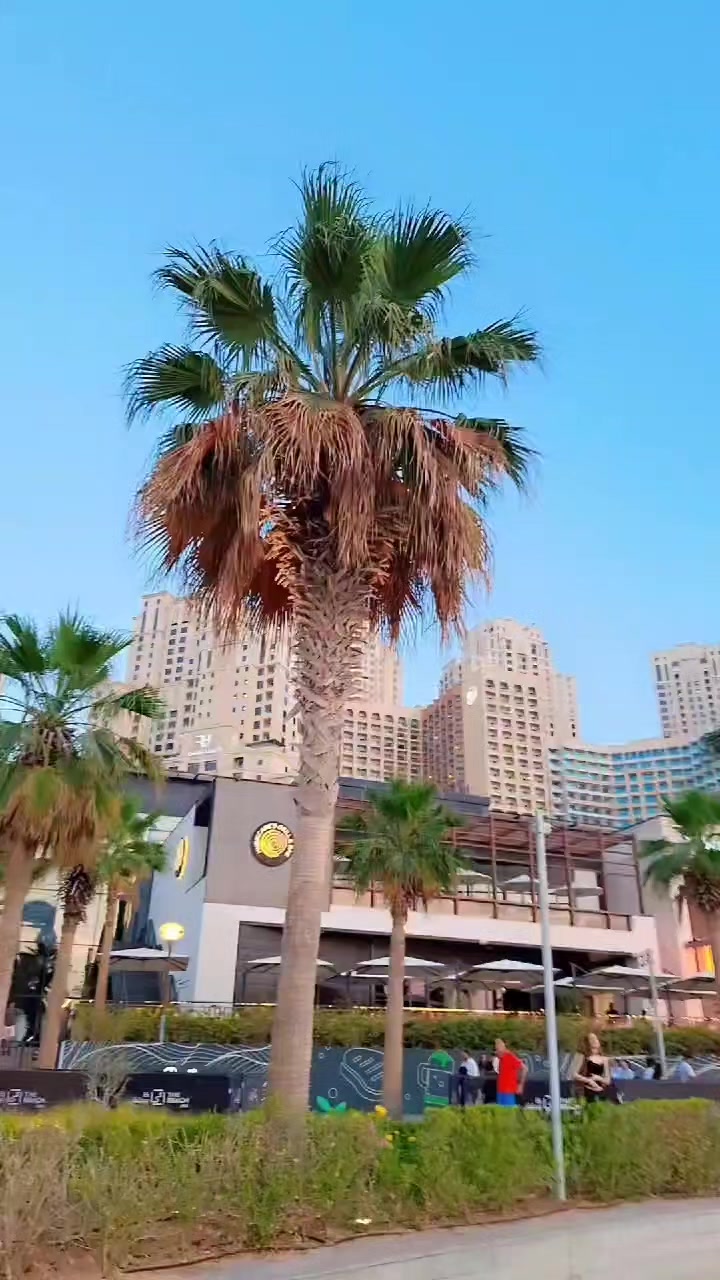@,,🇵🇰 "Maلik MoحSiN،،"🇦🇪