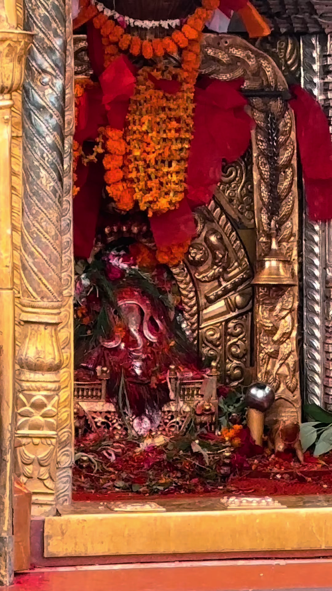 @jatra_fiesta