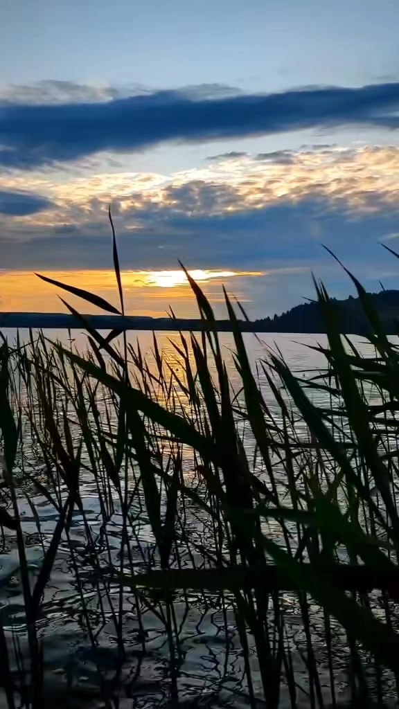 @Дима