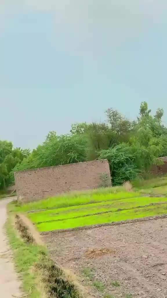 @Farhan kaila❤️