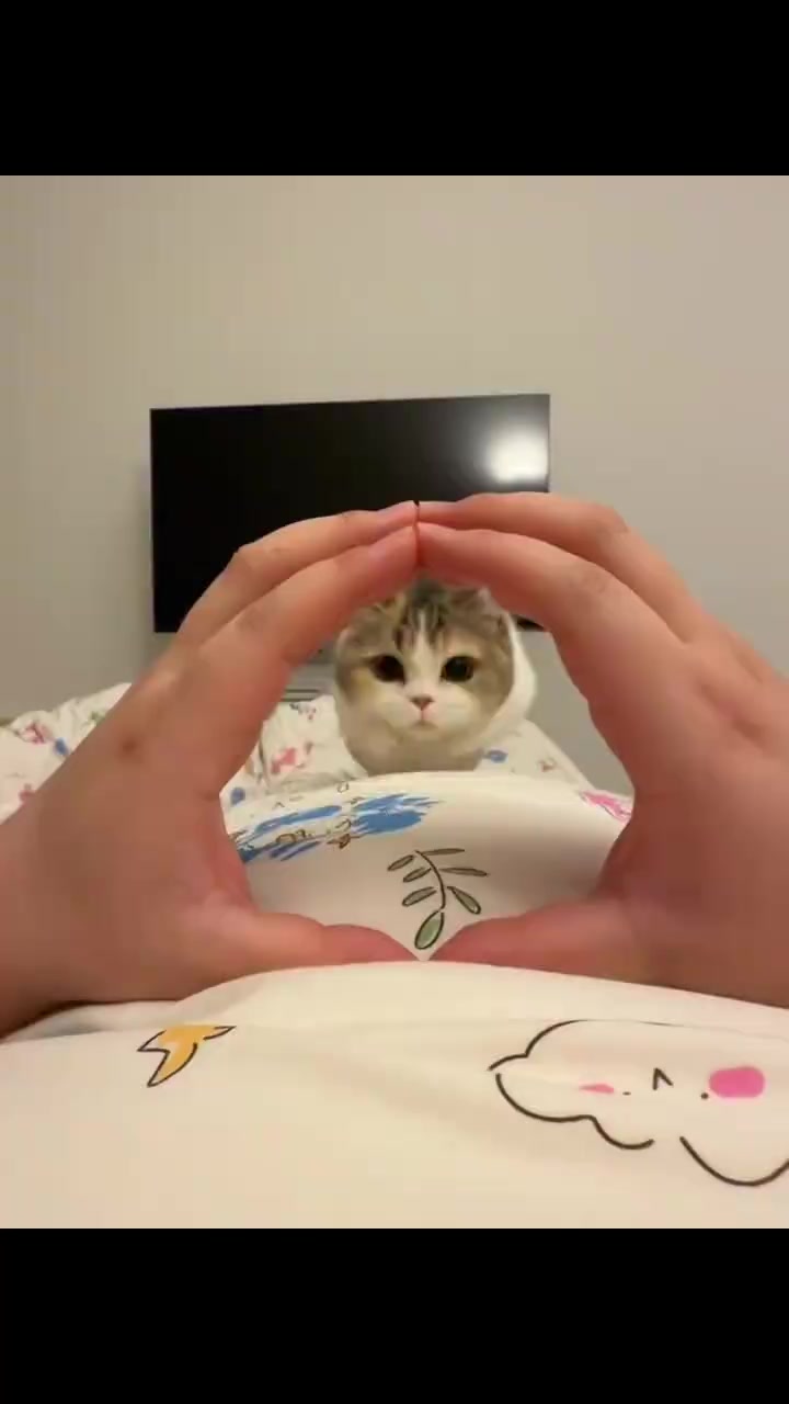 @trạm cute