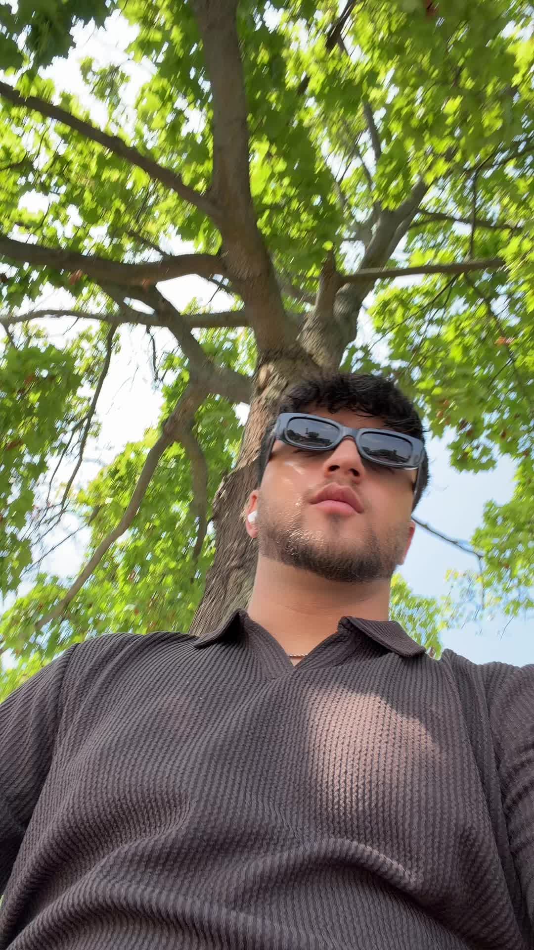 @___rayes___parwiz___4d