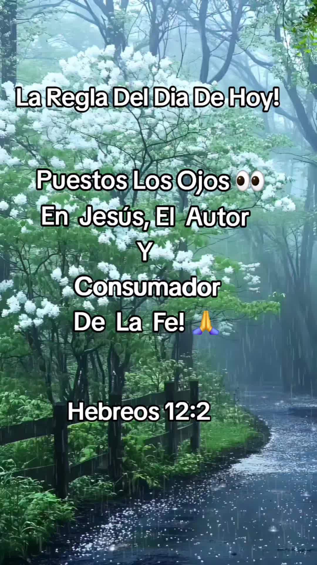 @Alejandro's DunamusSportsUSA🌎