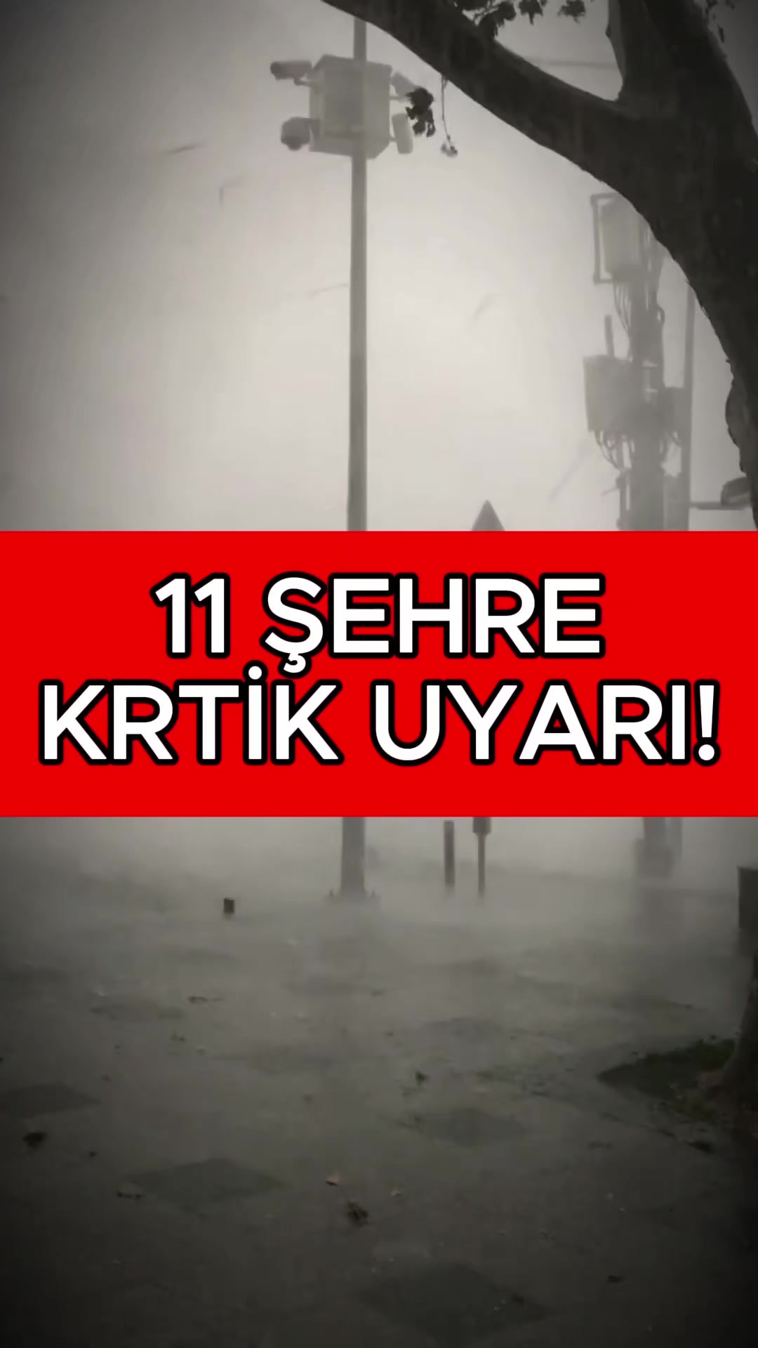@Havadar