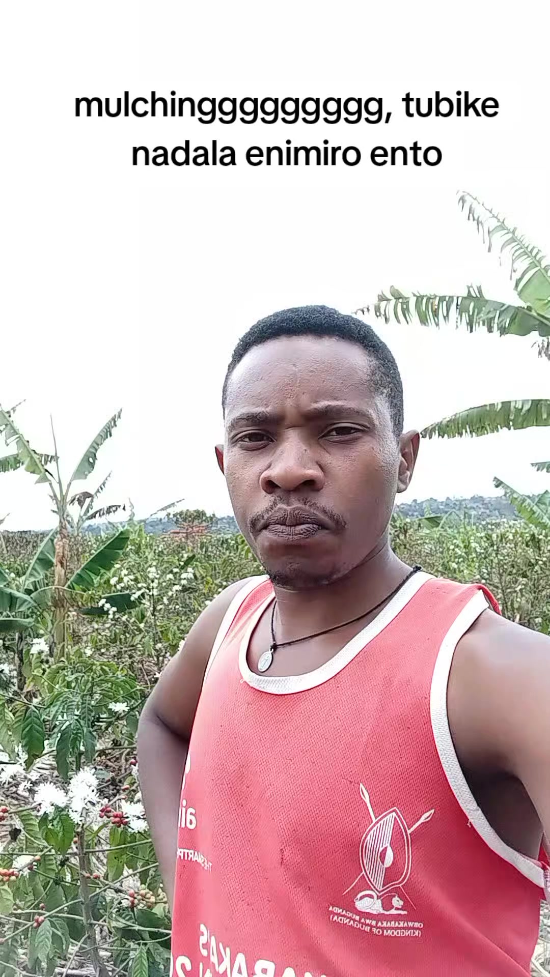 @MUKISSA AGRO Ug🌿