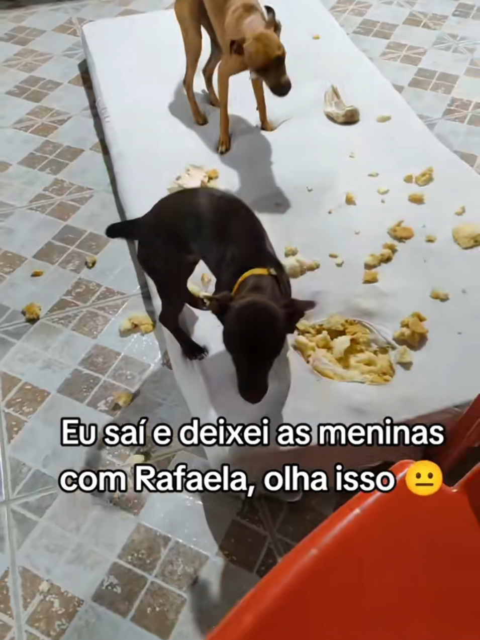 @Belinha e tiamara