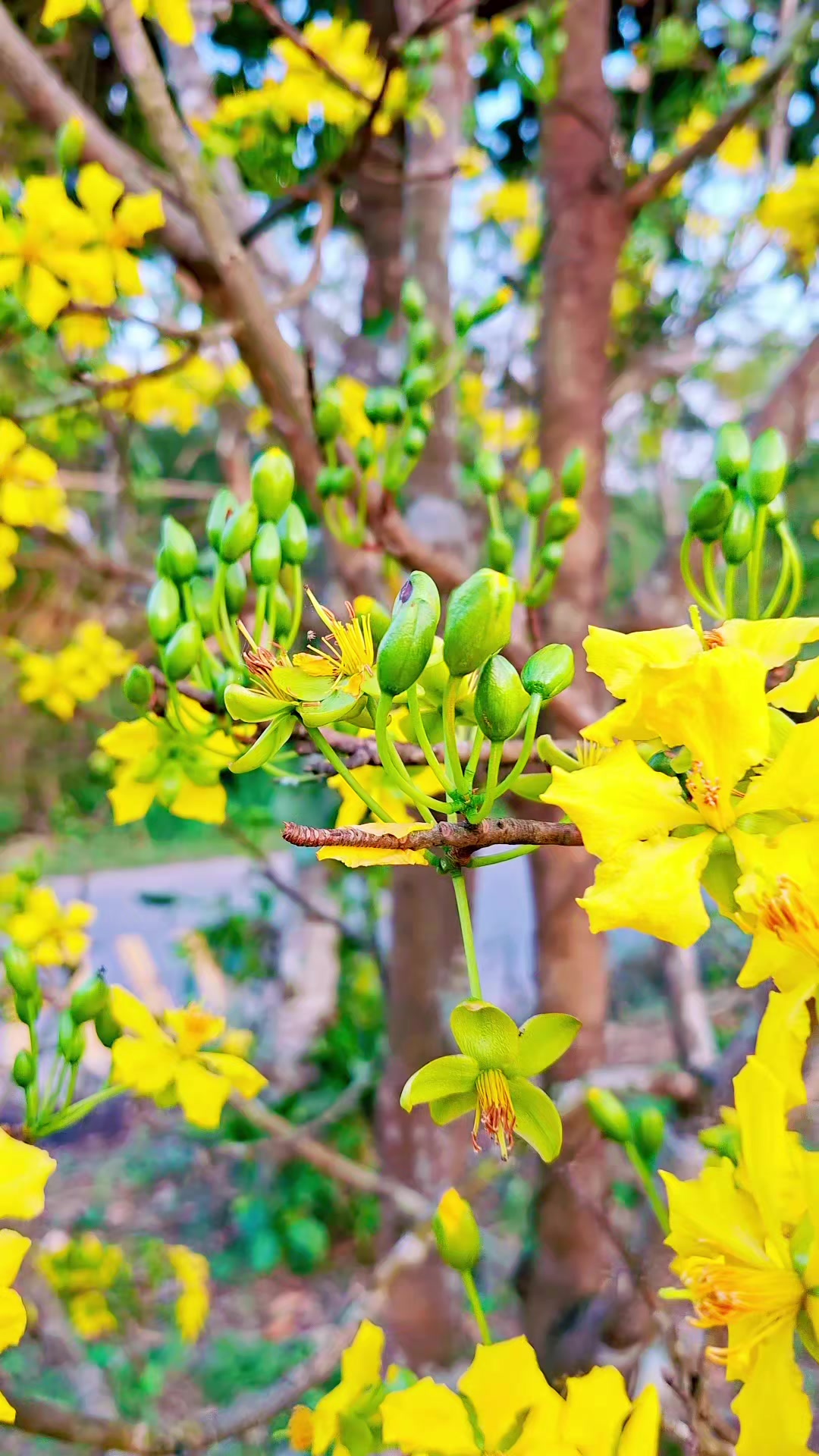 @Kết Nối Đam Mê Ong