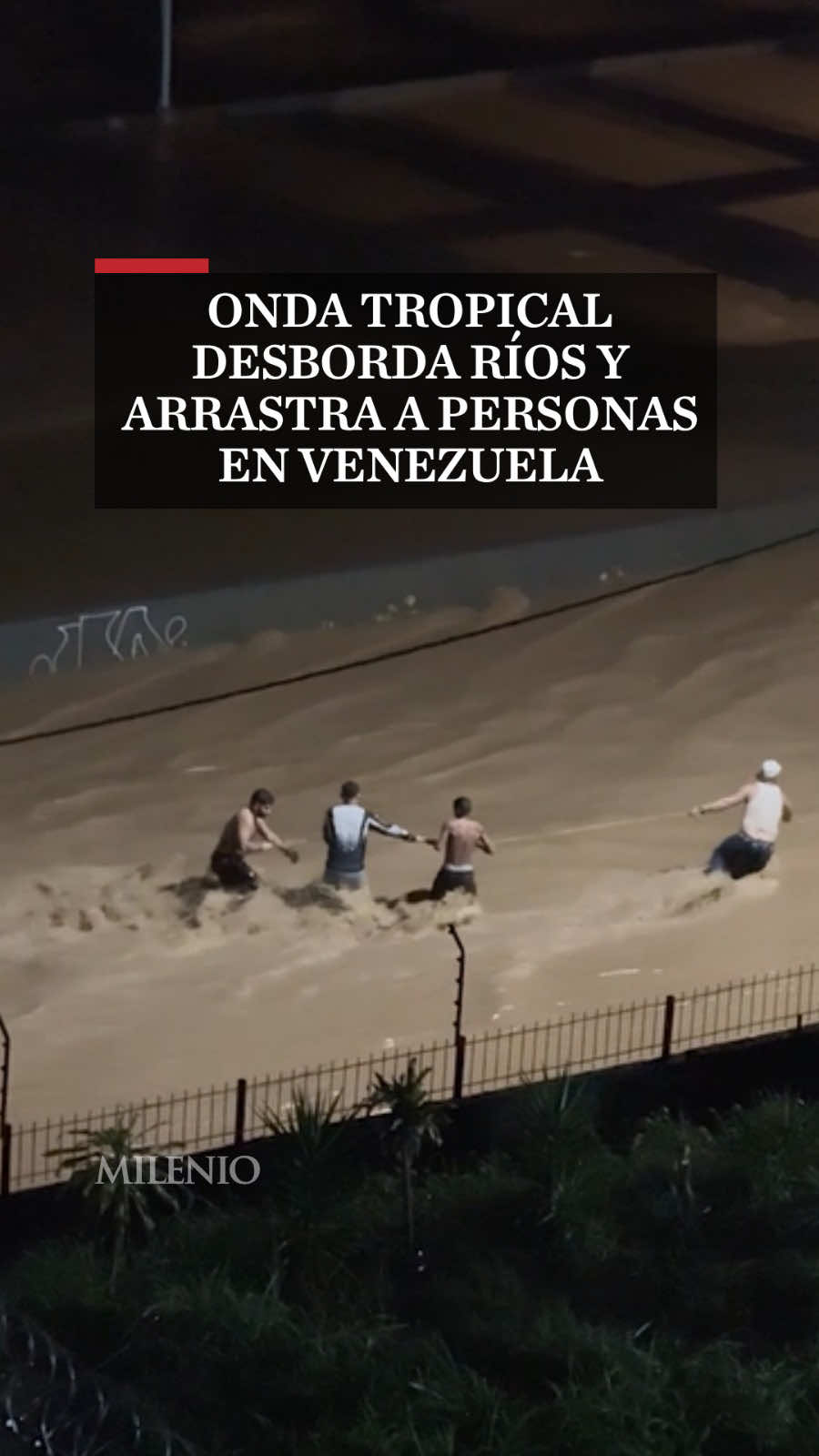@MILENIO