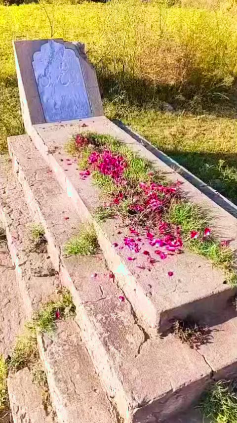 @Raja Ammar Khan(CHIB)