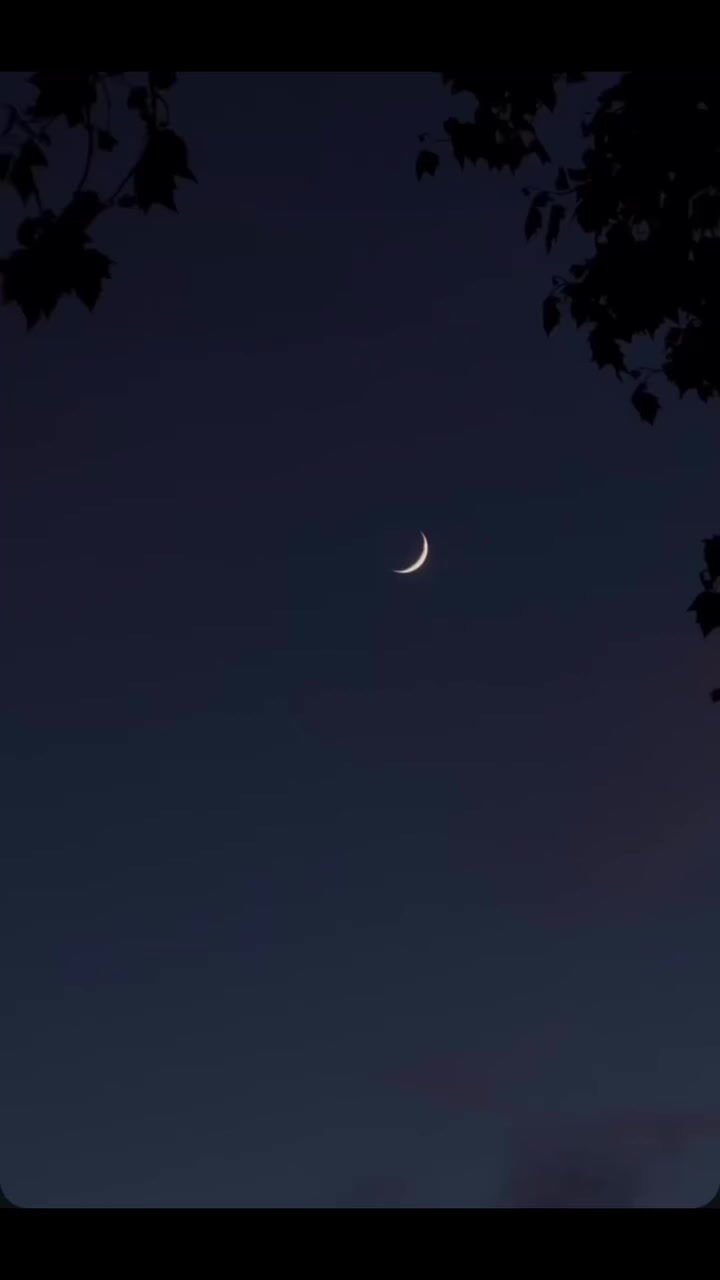 @B7F乛حسيب