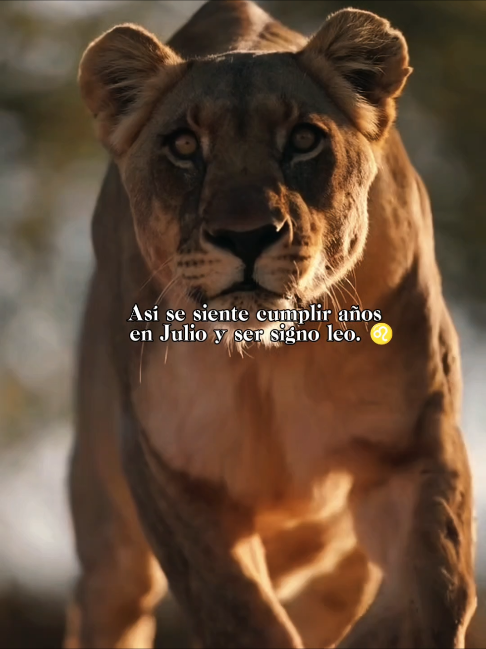 @YG 🦁
