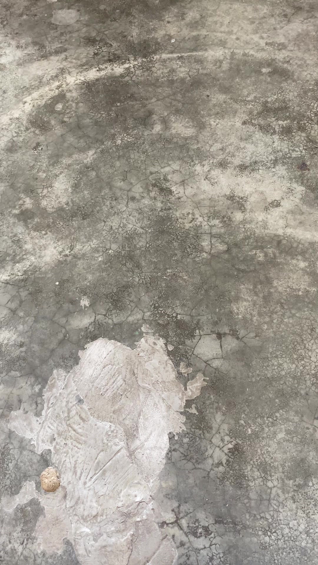 @𝙱𝚒𝚕𝚊𝚑𝚂𝚠𝚒𝚜𝚜𝙸𝙿𝙾𝙷