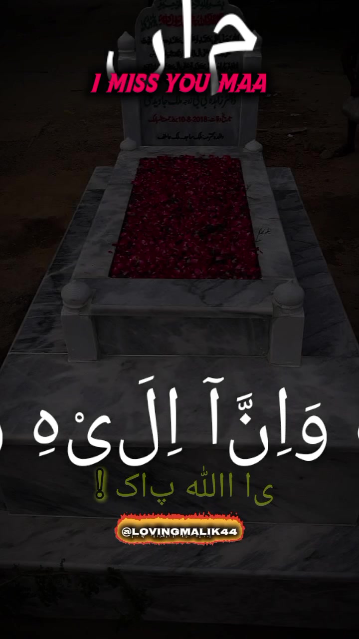 @༺🅼alik 🆂ajid༻