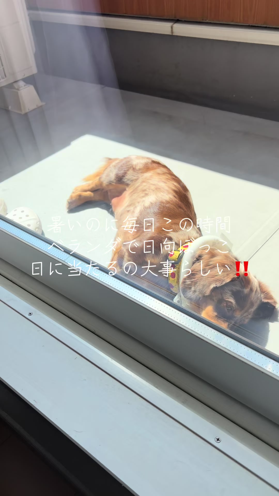 @ケン