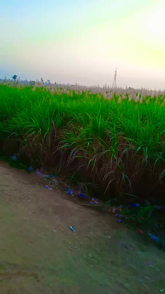 @naseerpanhwar123
