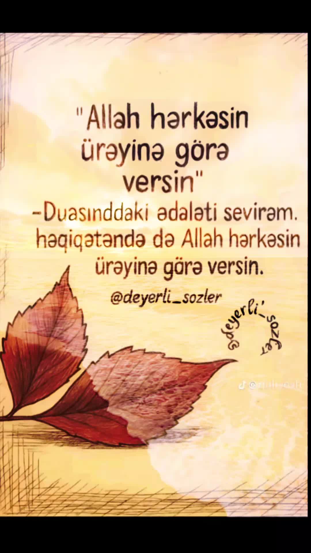 @Hayat⚘