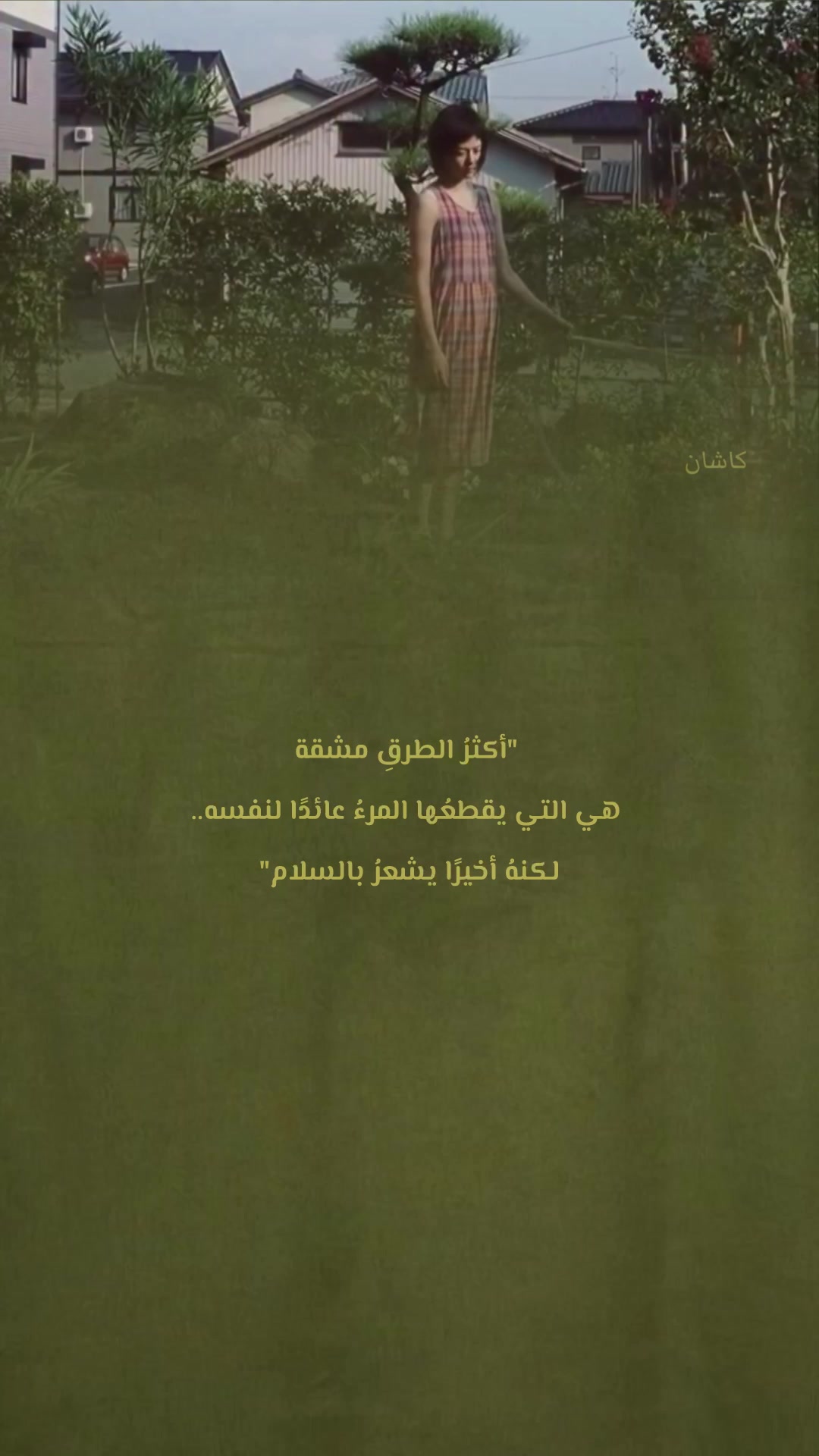 @kashin_02