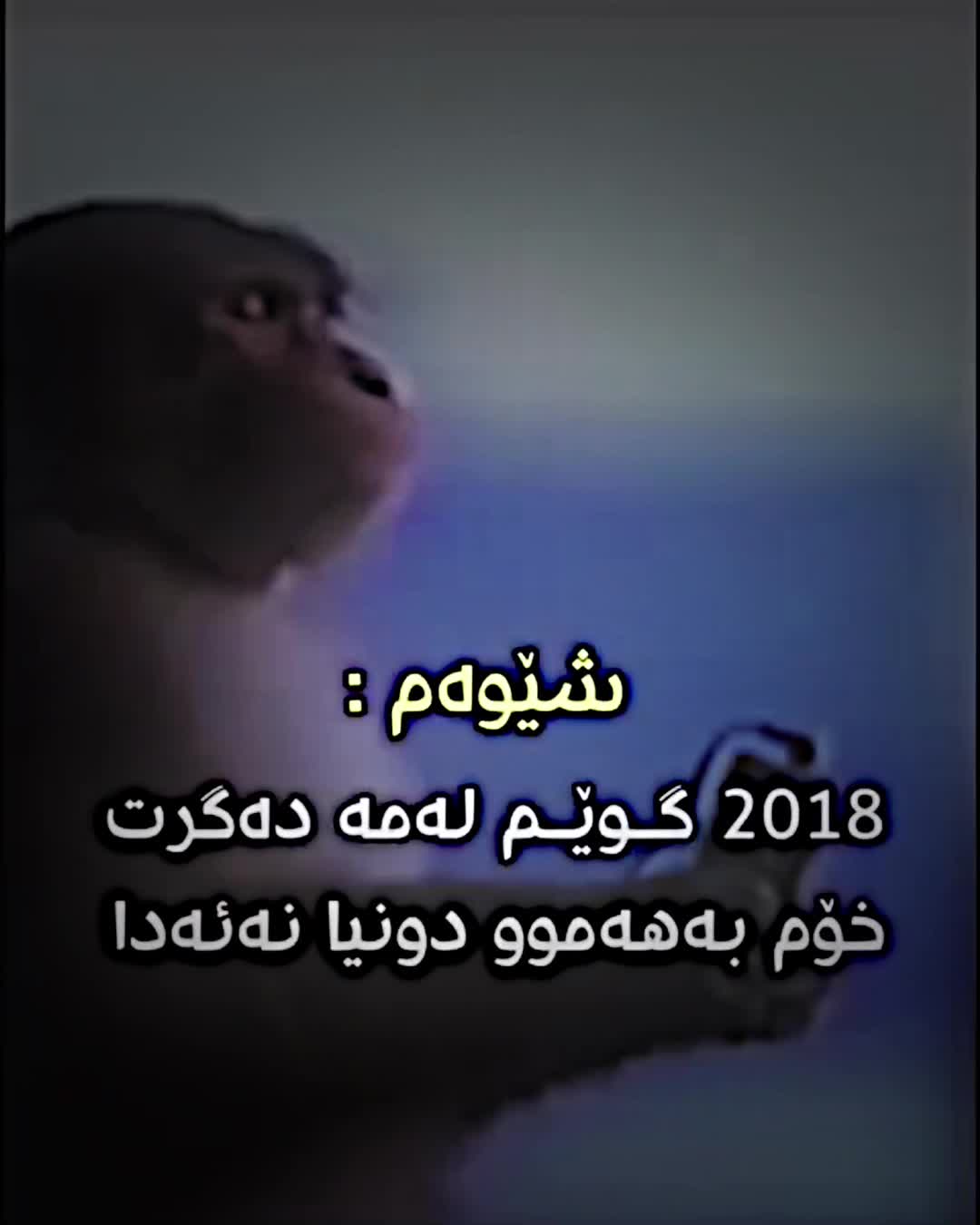@HAMAY SHEX NAWZAD
