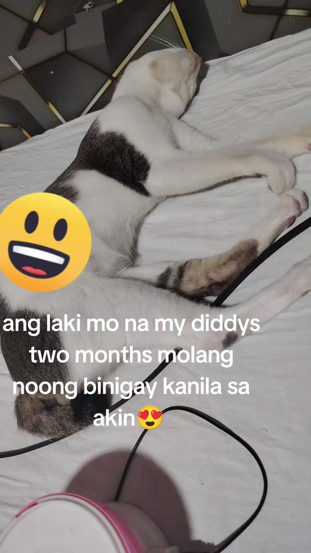 @❤💝asawa KO ❤💝