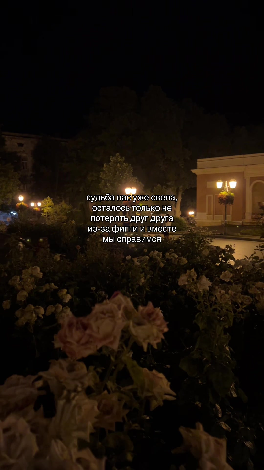 @кис кис💗