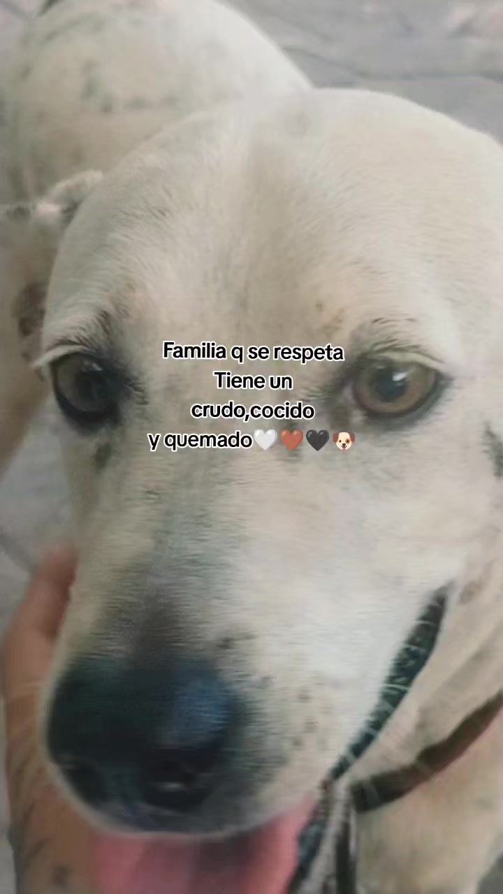 @Mayka(Marifer)✨♉💜🧚♀️🧿