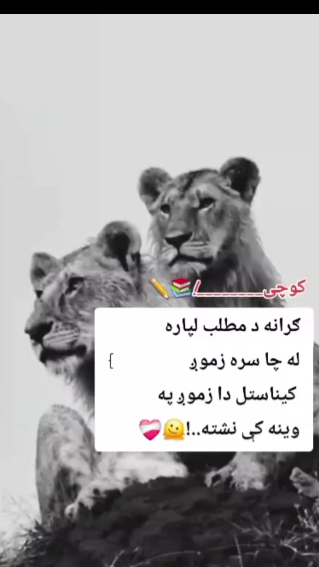 @👑𝐌𝐀𝐍𝐒𝐎𝐎𝐑👇AFRIDI👑