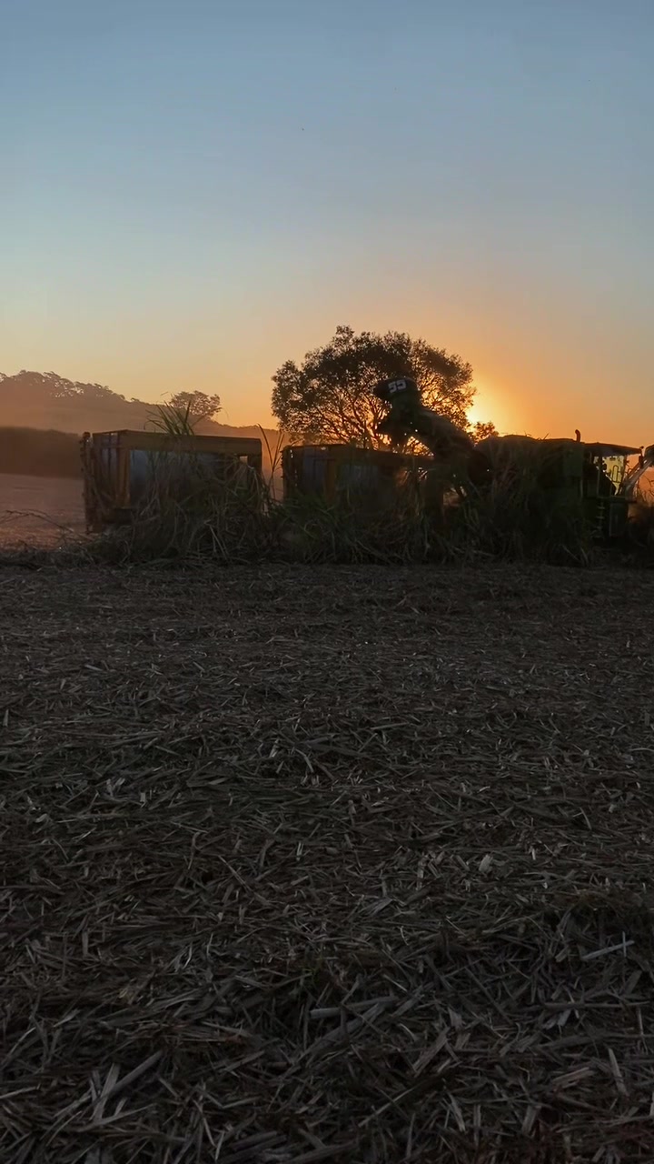 @ÍNDIO DO AGRO 🚜🌱