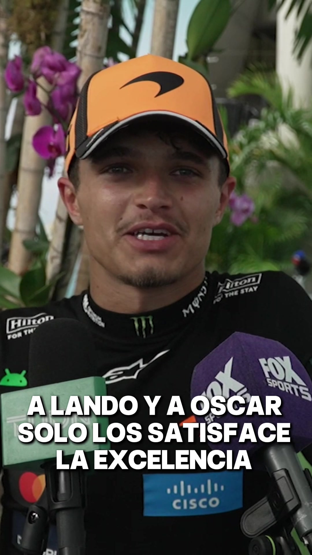 @Marifer Mora